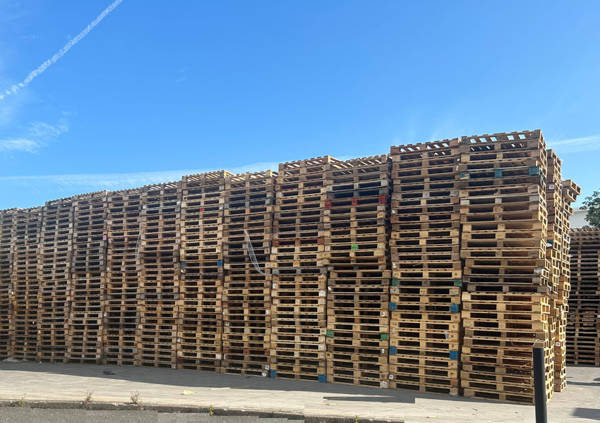 Reconditioned Pallets